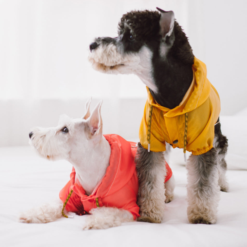 Touchdog Split-Vent Designer Waterproof Dog Raincoat by Pet Life