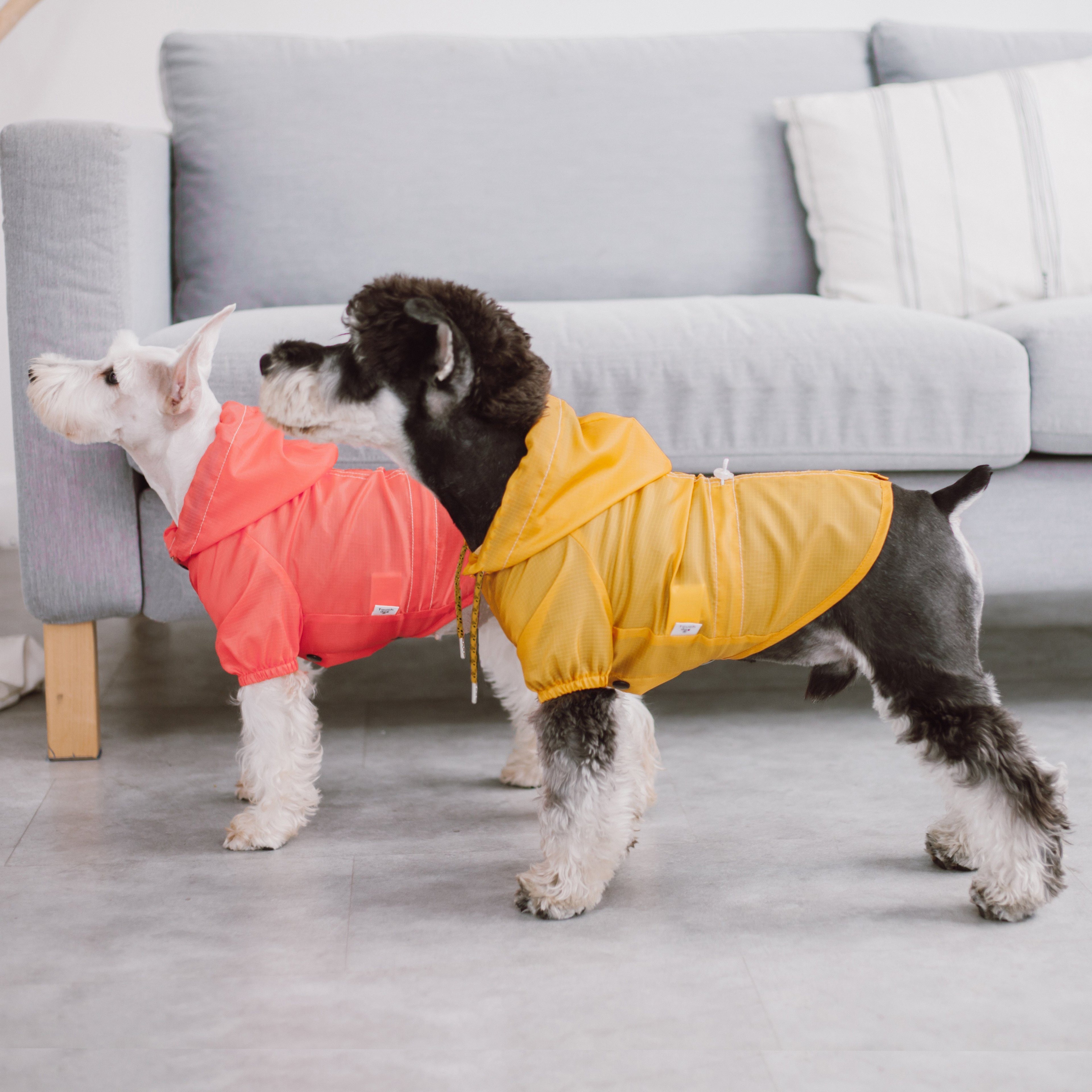 Touchdog Split-Vent Designer Waterproof Dog Raincoat by Pet Life