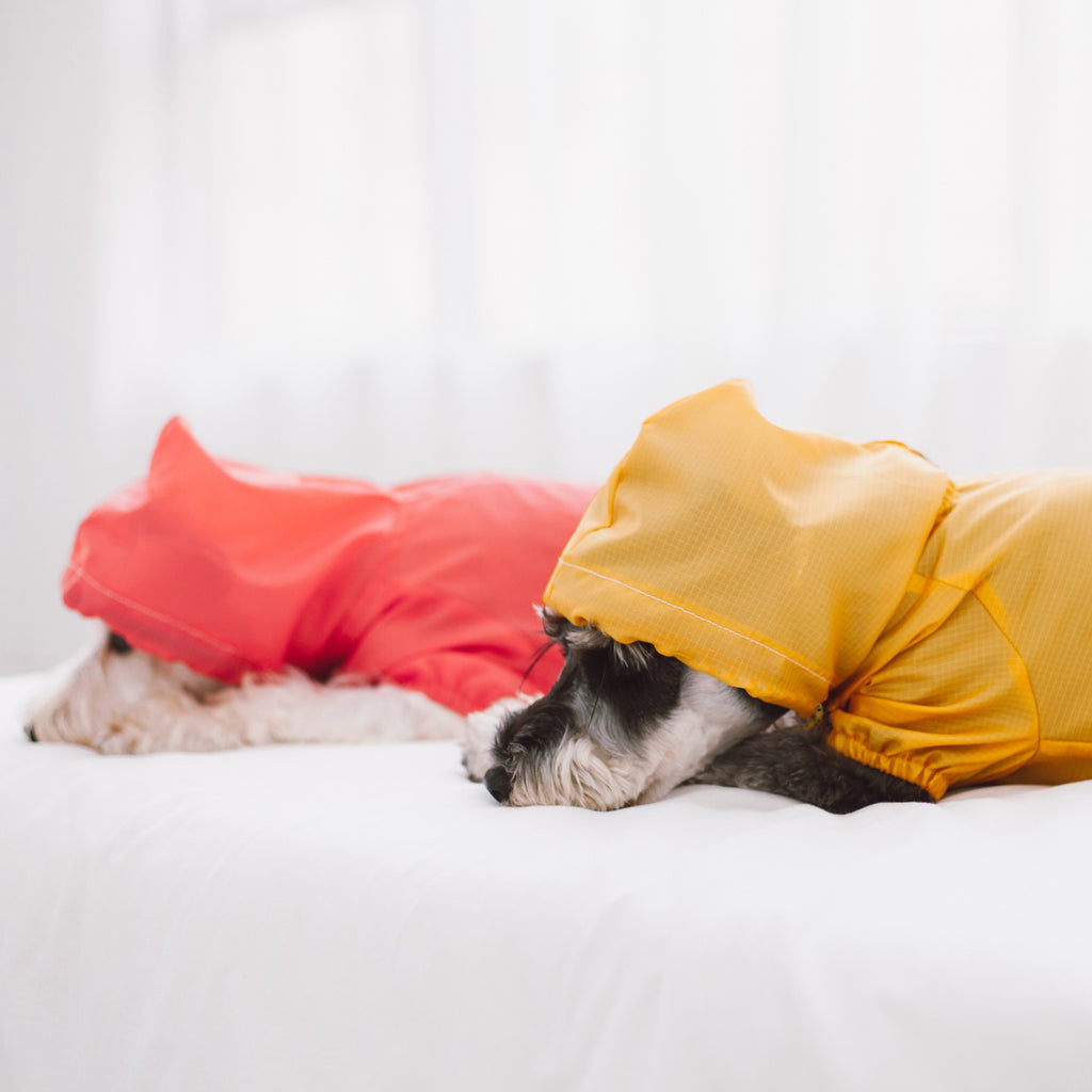 Touchdog Split-Vent Designer Waterproof Dog Raincoat by Pet Life