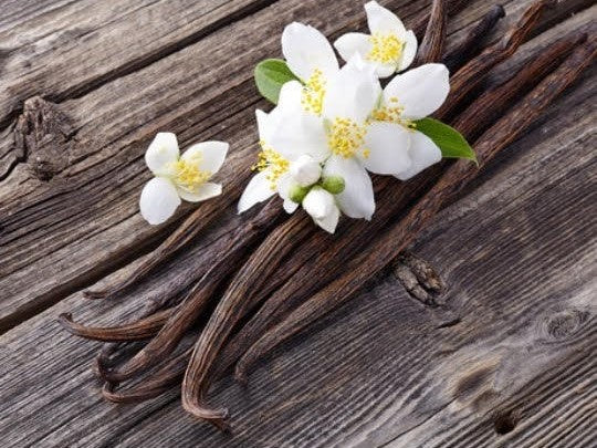 Vanilla Bean Infused Honey by Scott Honey Farms & Organics