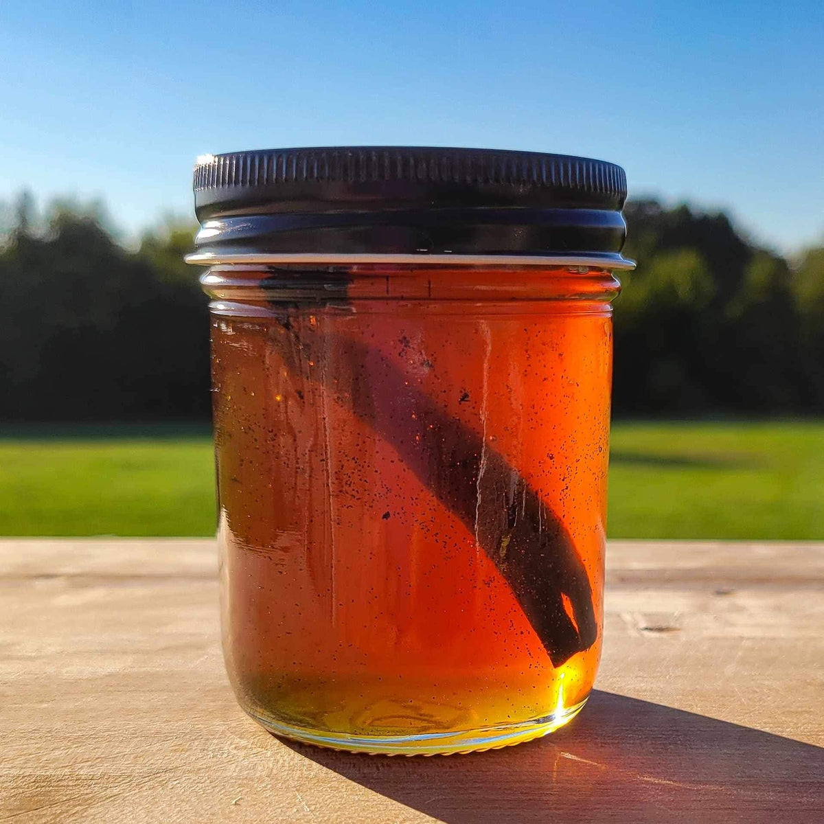 Vanilla Bean Infused Honey by Scott Honey Farms & Organics