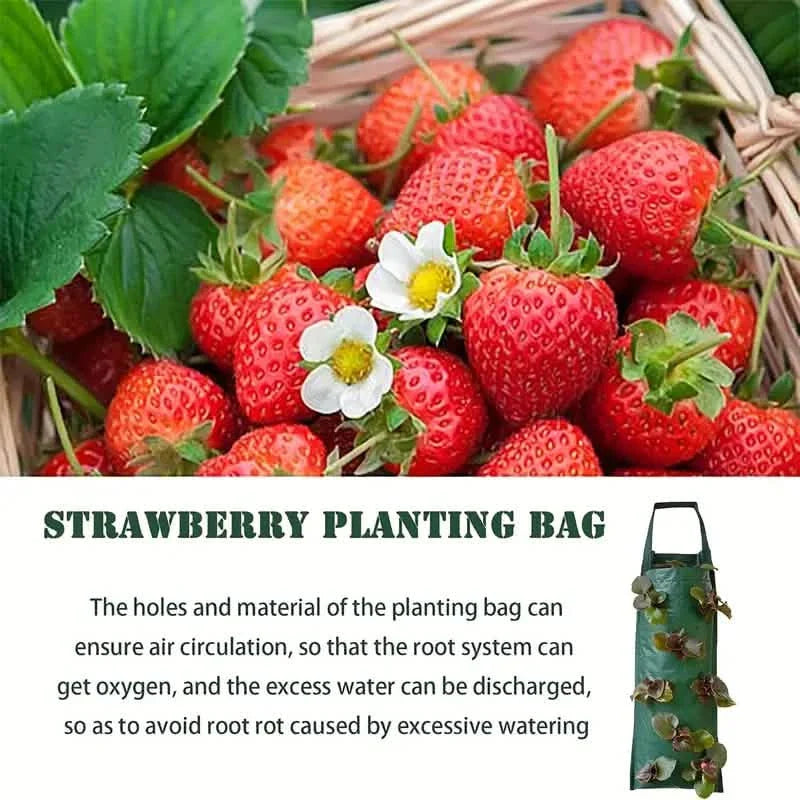 Upside Down Tomato Grow Bag by DailySale