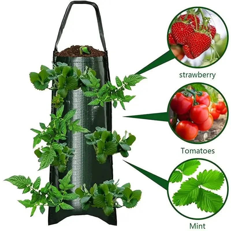 Upside Down Tomato Grow Bag by DailySale