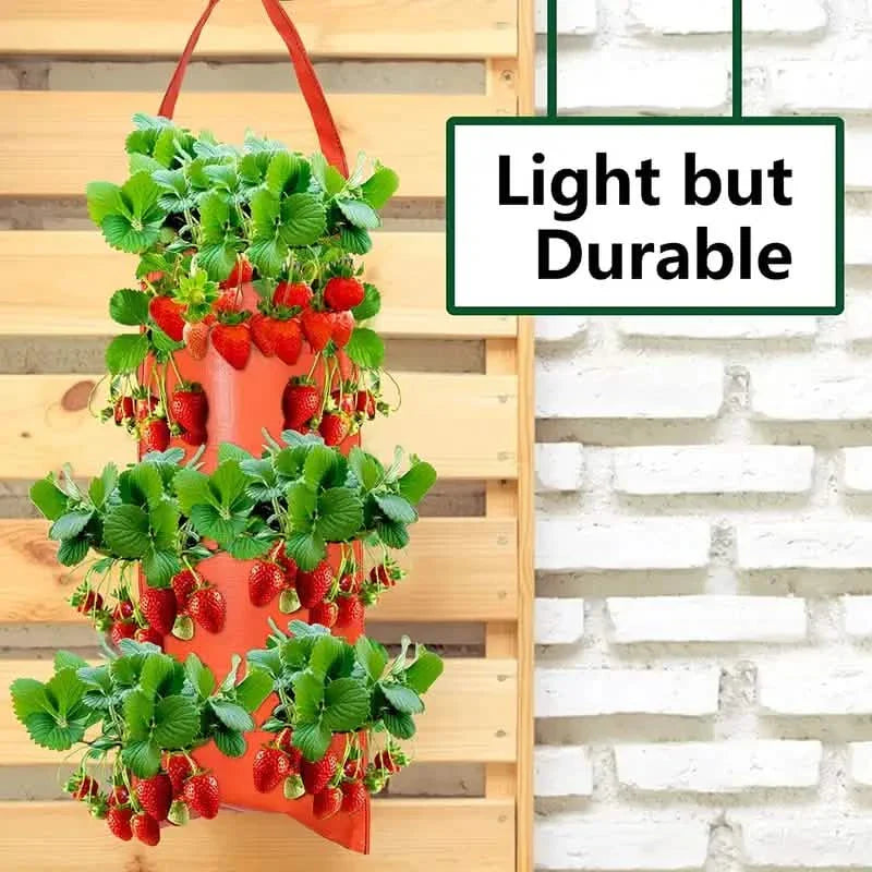 Upside Down Tomato Grow Bag by DailySale