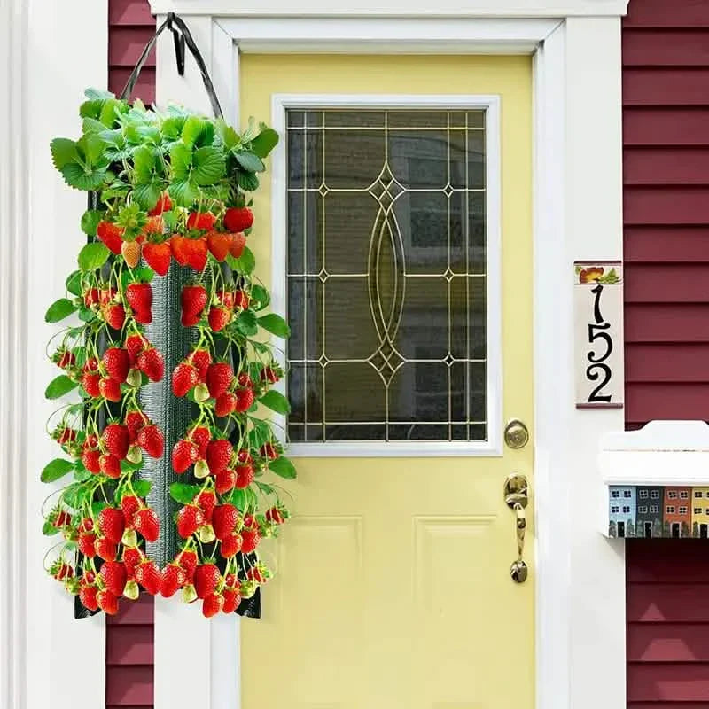 Upside Down Tomato Grow Bag by DailySale