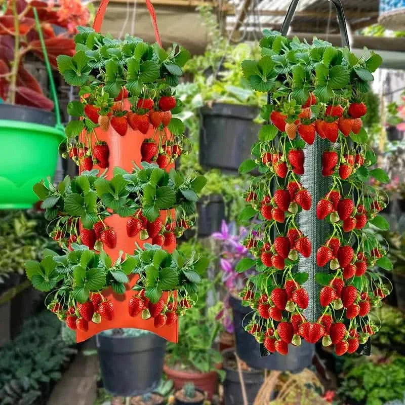 Upside Down Tomato Grow Bag by DailySale
