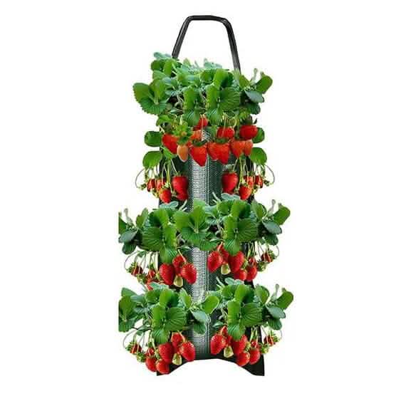 Upside Down Tomato Grow Bag by DailySale