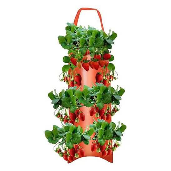 Upside Down Tomato Grow Bag by DailySale