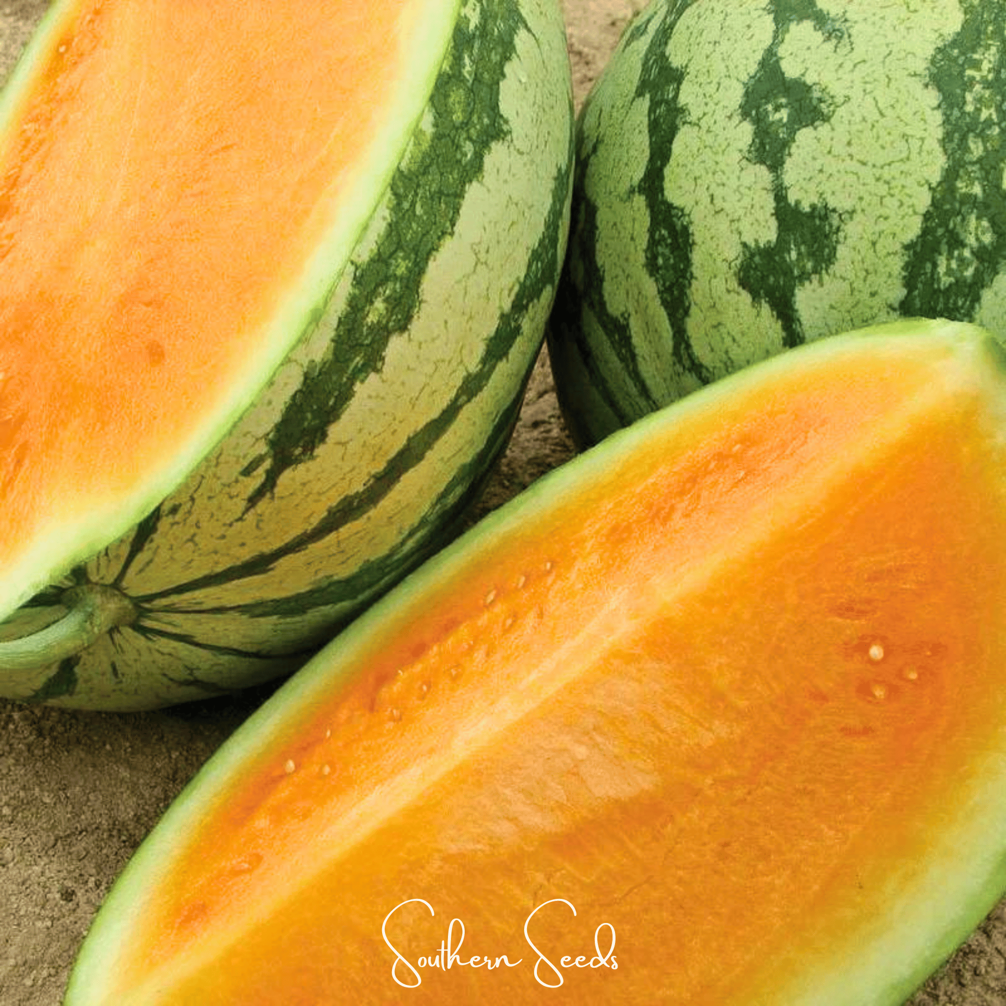Tendersweet Orange Watermelon – 25 Seeds by Southern Seeds